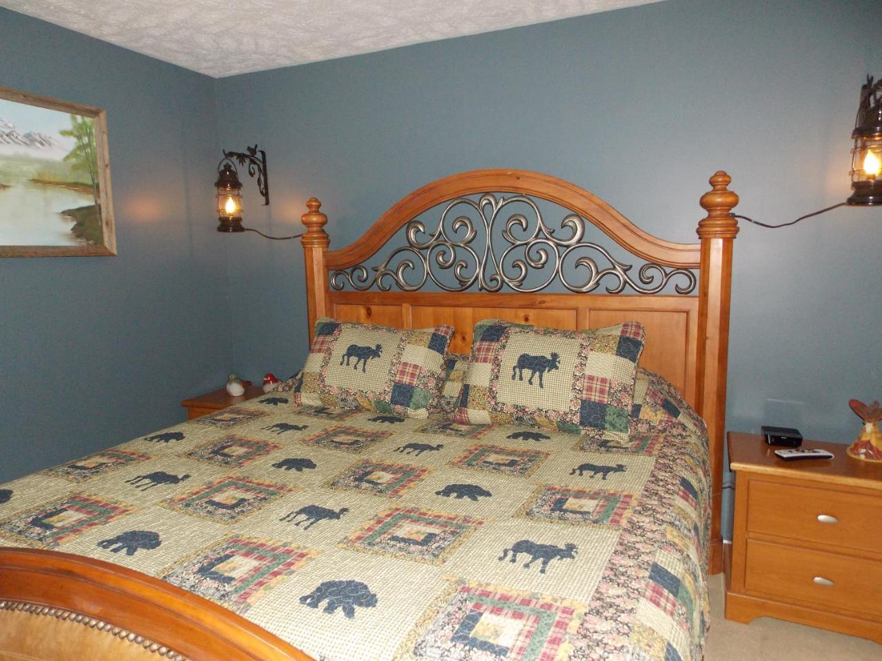 Villa Hillbilly Hilton Chalet à Pigeon Forge Extérieur photo